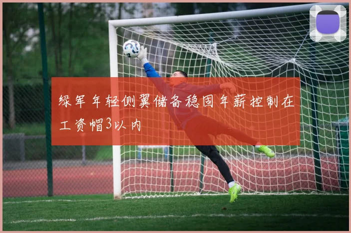 绿军年轻侧翼储备稳固年薪控制在工资帽3以内