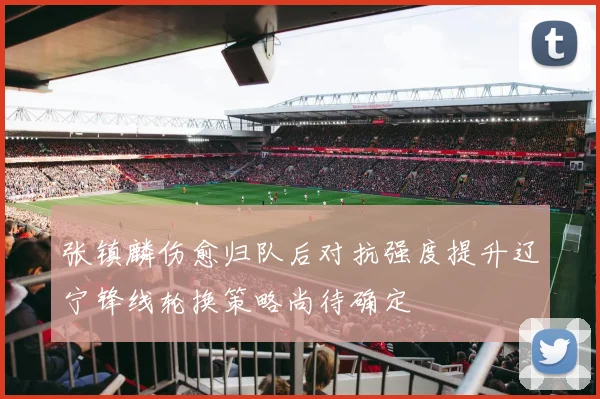 张镇麟伤愈归队后对抗强度提升辽宁锋线轮换策略尚待确定